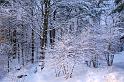 20071228_093728 D2X F